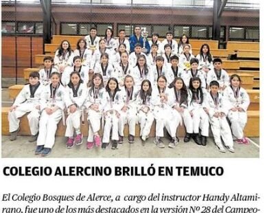 Taekwondo Temuco