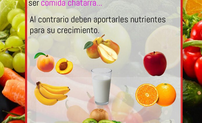 Comida saludable