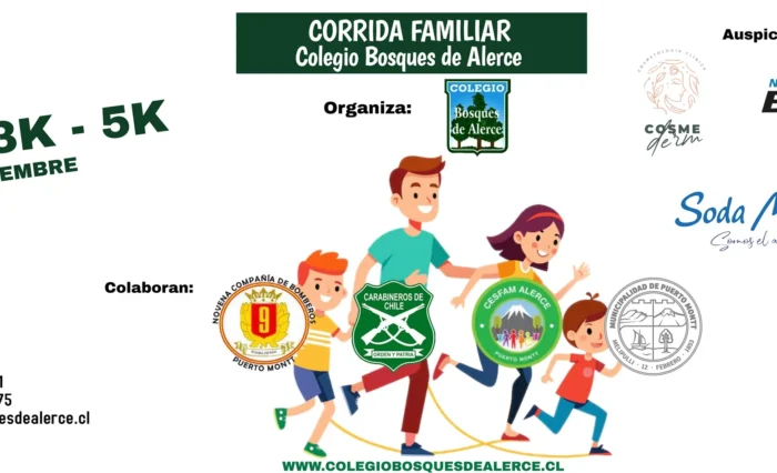 PENDÓN 7 DE DICIEMBRE