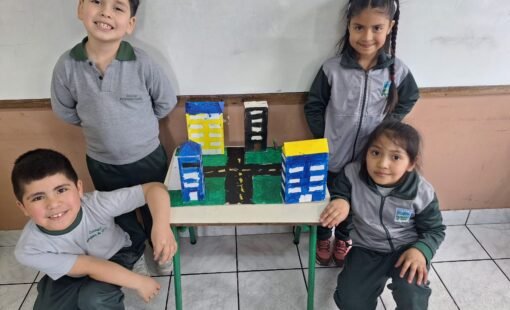 Actividad pedagógica de la asignatura de historia y geografía