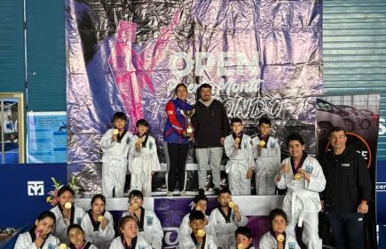 Campeonato de Taekwondo noviembre 2025